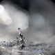 Illustration for article titled This alien world is not a frame from emGuardians of the Galaxy/em
